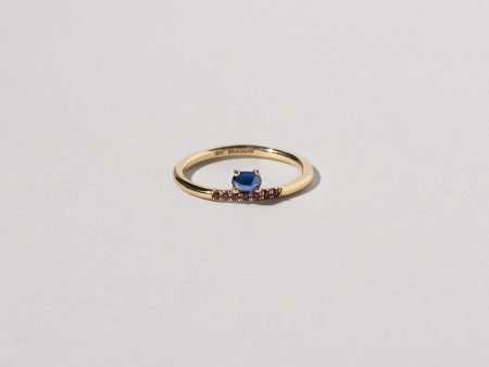 Stacked Ring - Sapphire & Ant Hill Garnet Online Sale