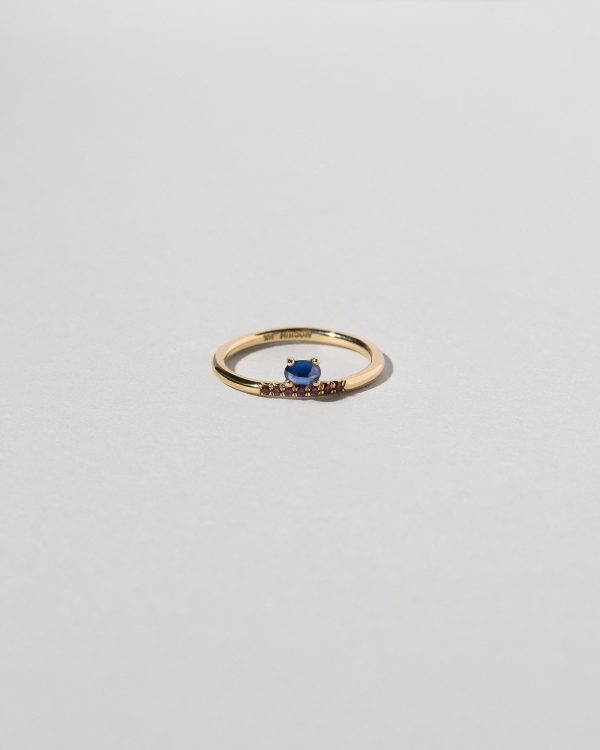 Stacked Ring - Sapphire & Ant Hill Garnet Online Sale