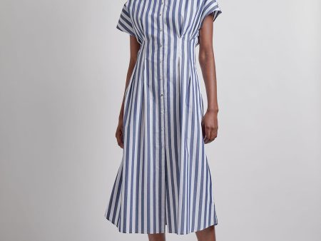 Modern Fit & Flare Button Front Midi Dress For Sale